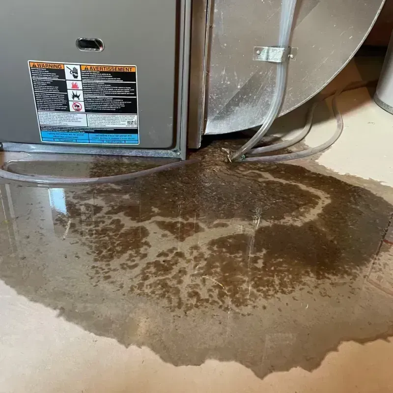 Appliance Leak Cleanup in Midway, KY